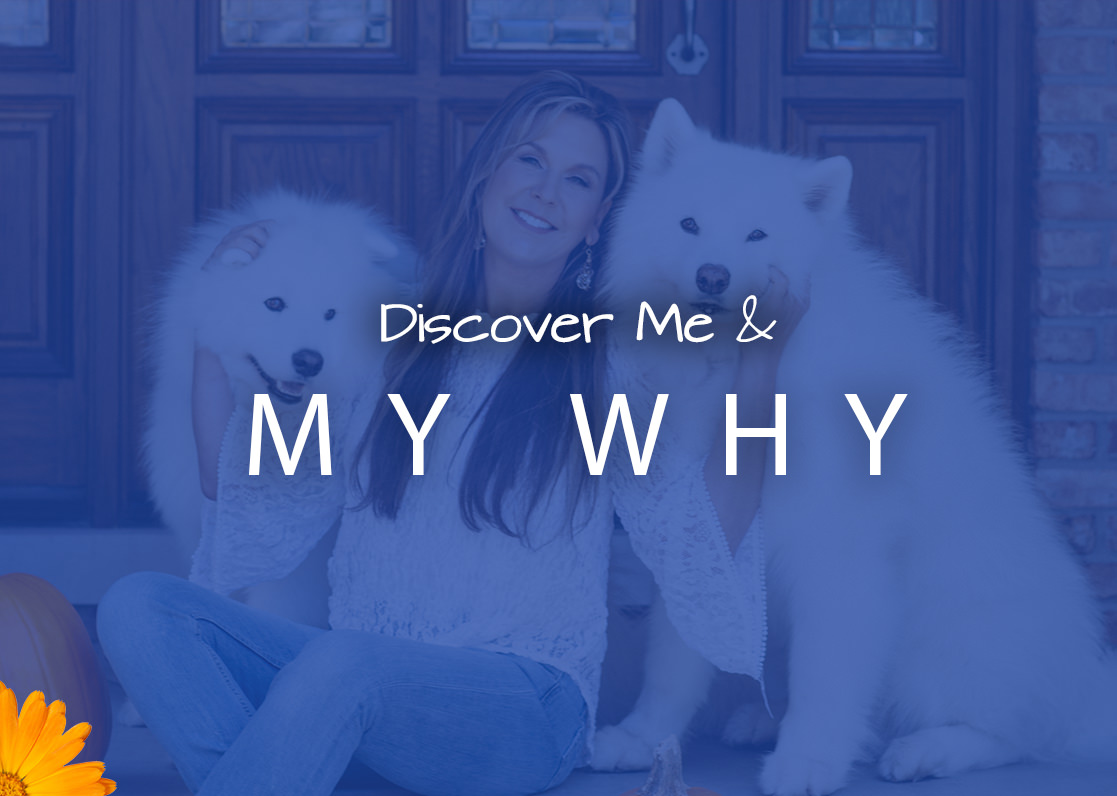 discovermeandmywhy